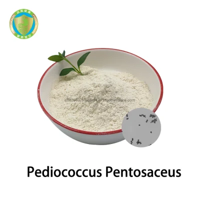 Ingredienti alimentari del Pediococcus Pentosaceus dalla Cina